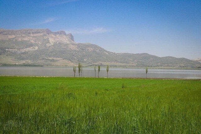 صدور سند تک برگ تالاب ارژن برای حفاظت از حقوق بیت‌المال