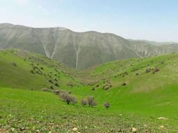 رشد ۲ میلیون هکتاری طرح‌های مرتعداری کشور تا پایان امسال
