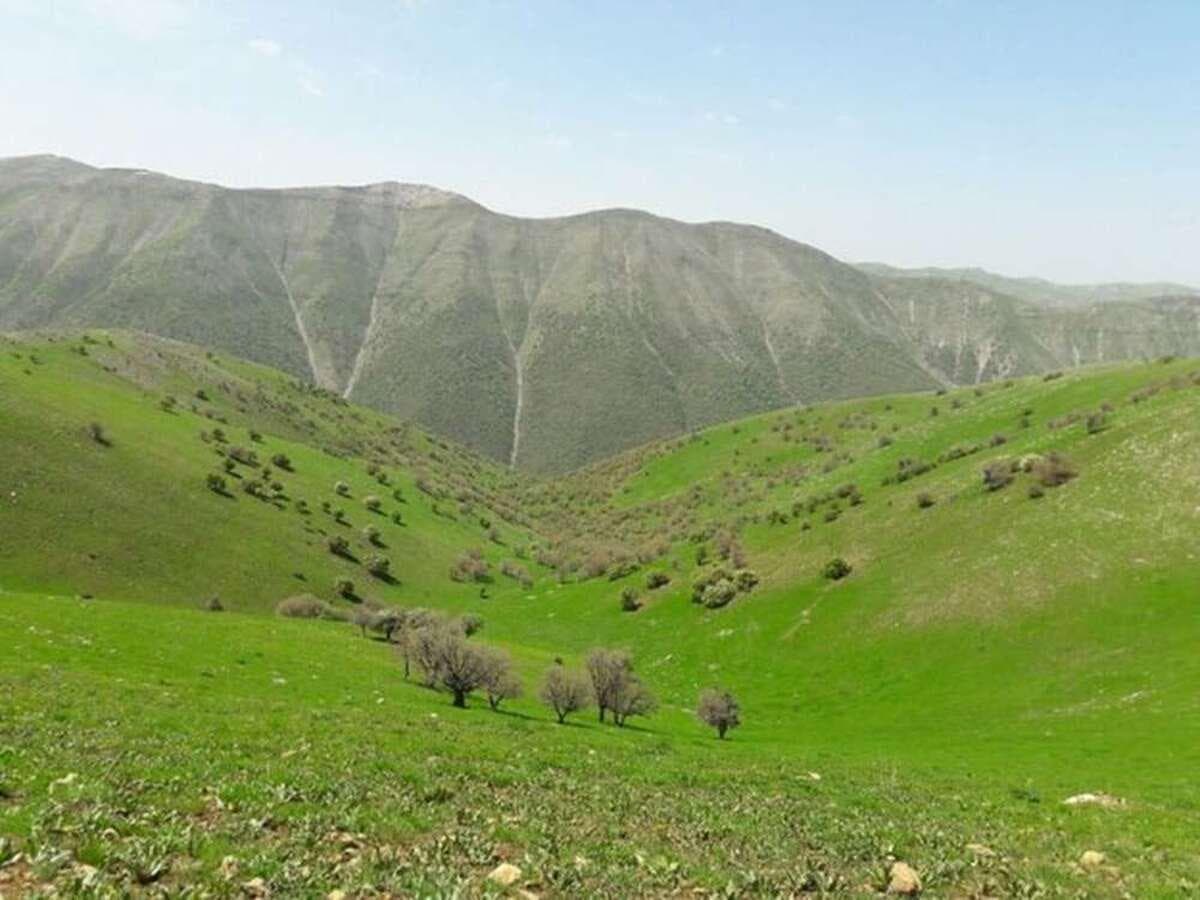 رشد ۲ میلیون هکتاری طرح‌های مرتعداری کشور تا پایان امسال