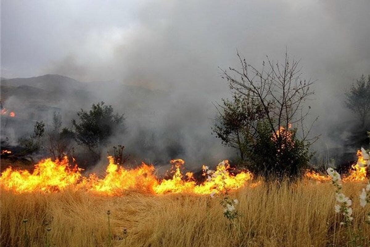 مهار حریق در جنگل‌های طارم ادامه دارد