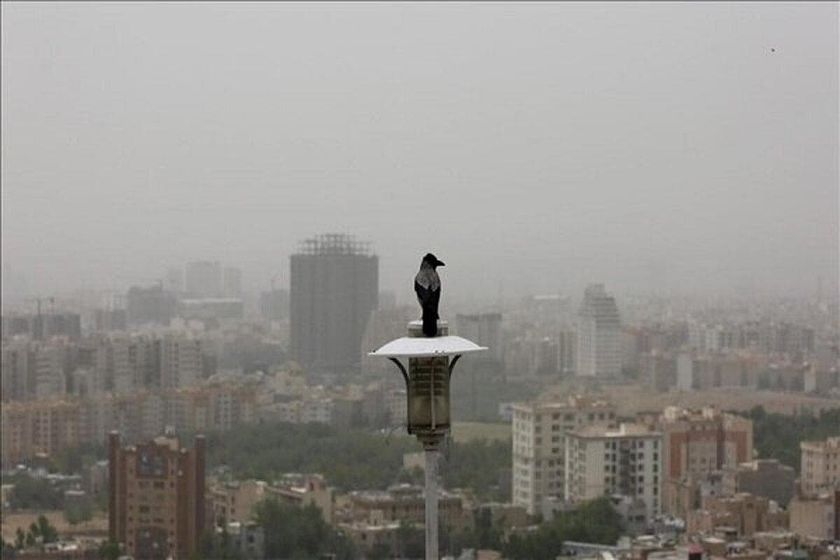 تداوم کیفیت ناسالم برای سالمندان و کودکان تهرانی