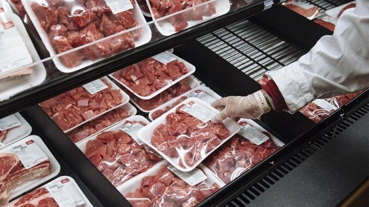 آغاز ثبت سفارش واردات گوشت برای نیمه دوم سال از ۱۵ شهریور