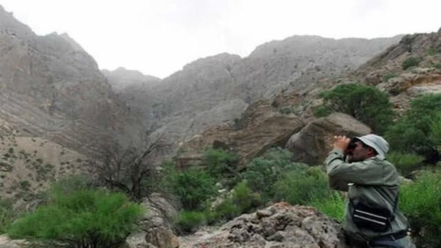 حمله شکارچیان غیرمجاز به محیط‌بان/ همیار محیط‌بان مجروح شد 