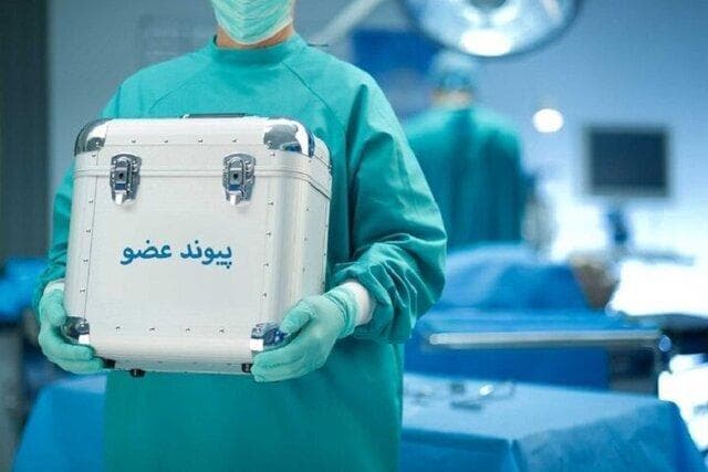 دانشگاه علوم پزشکی سمنان: روزانه ۷ تا ۱۰ نفر در اثر نرسیدن عضو می‌میرند