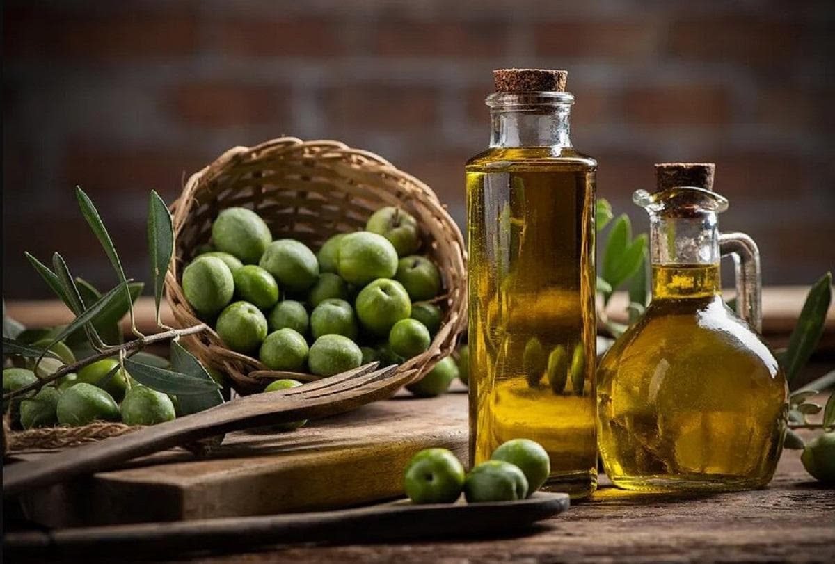 روغن زیتون بکر؛ طلای مایع برای قلب و عمر طولانی‌تر