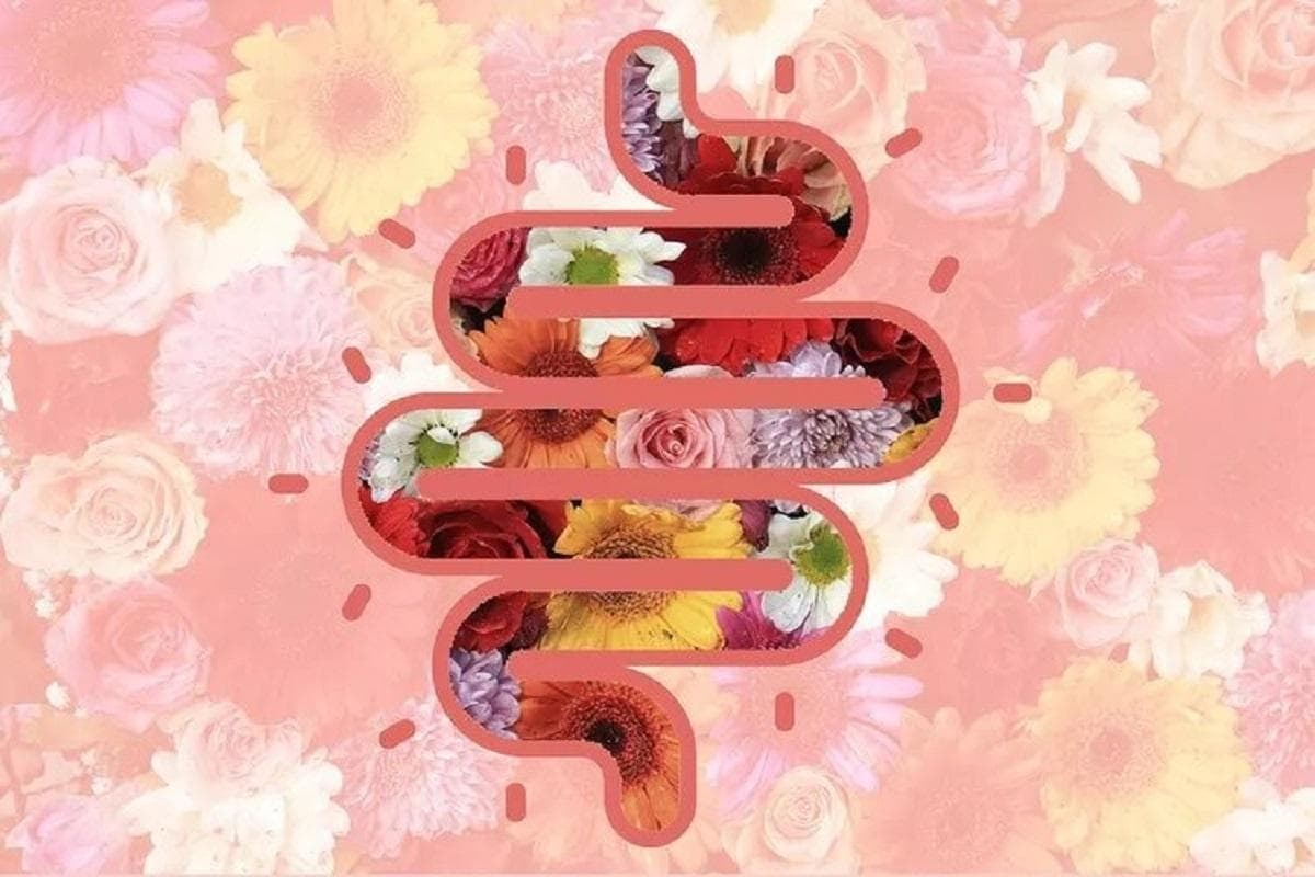 ۵ عادت طلایی برای داشتن «روده‌ای سالم» به گفته یک متخصص گوارش