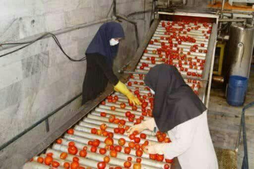 رنج صنایع تبدیلی آذربایجان غربی از ضعف زیرساخت‌ و کمبود سرمایه