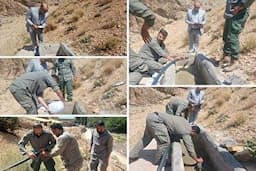 توزیع ۱۶۰ گالن ضدعفونی‌کننده برای پیشگیری از بیماری در حیات وحش تهران