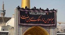 ببینید|کتیبه حرم مطهر به مناسبت شهادت امام رضا (ع) تعویض شد