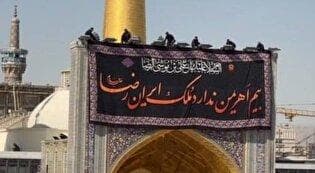ببینید|کتیبه حرم مطهر به مناسبت شهادت امام رضا (ع) تعویض شد