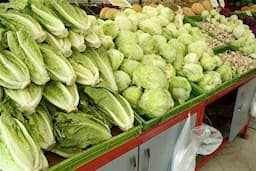 قیمت سبزیجات برگی و غیر برگی در تهران اعلام شد