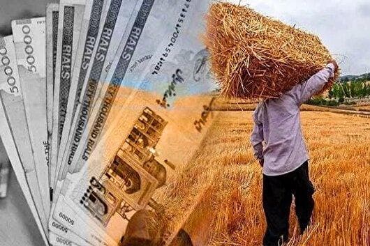 پرداخت ۵۸ درصد از مطالبات گندم کاران لرستانی