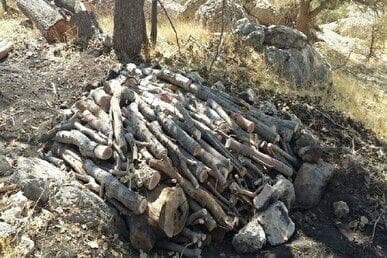 انهدام ۲۵ باب کوره زغال گیری غیرمجاز در مریوان