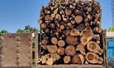 کشف یک تن چوب قاچاق در رباط کریم