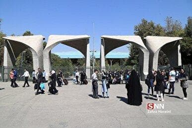 مه‌بارش، منبع پنهان آب در جنگل‌های شمالی؛ جذب ۱۲۰ میلیون متر مکعب آب از مه‌بارش فقط در فصل رویش