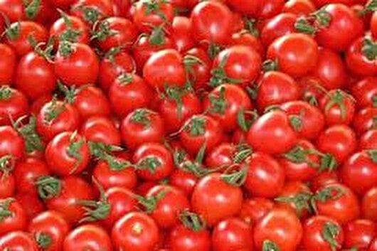 صادرات ۳۰۰ تن گوجه‌فرنگی و برداشت ۵۰ هزار تن محصولات باغی در گچساران