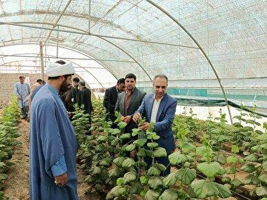 افتتاح ۲۳۸ واحد گلخانه صنعتی و خانگی باهدف بهره‌وری صحیح آب و تغییر الگوی کشت در شهرستان زهک