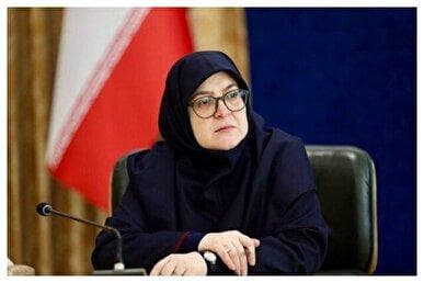مهاجرانی: سرمایه‌گذاری در انرژی‌های نو را ادامه می‌دهیم