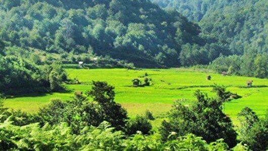 پایداری هوای گیلان به مدت ۳ روز