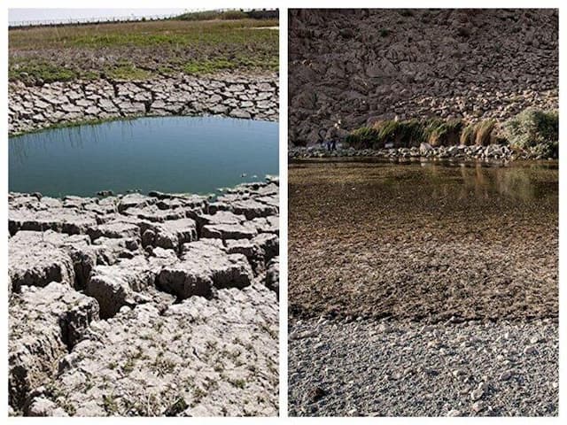 مرگ تدریجی تالاب‌های کرمانشاه؛ هشیلان و سراب نیلوفر در آستانه نابودی