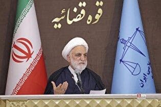 اژه‌ای: از توسعه مجازات‌های جایگزین حبس استقبال می‌کنیم