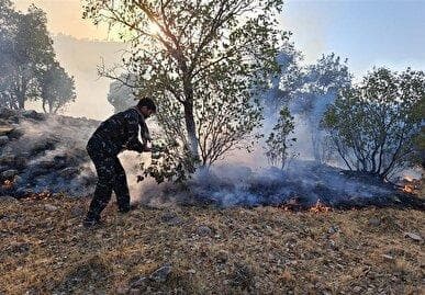 فرماندار معمولان: اطفا حریق اراضی جنگلی شهرستان معمولان