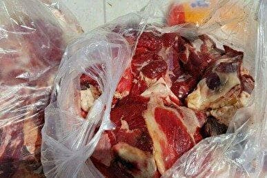 کشف و جمع‌آوری ۶۱۰ کیلوگرم انواع گوشت فاسد در زاهدان
