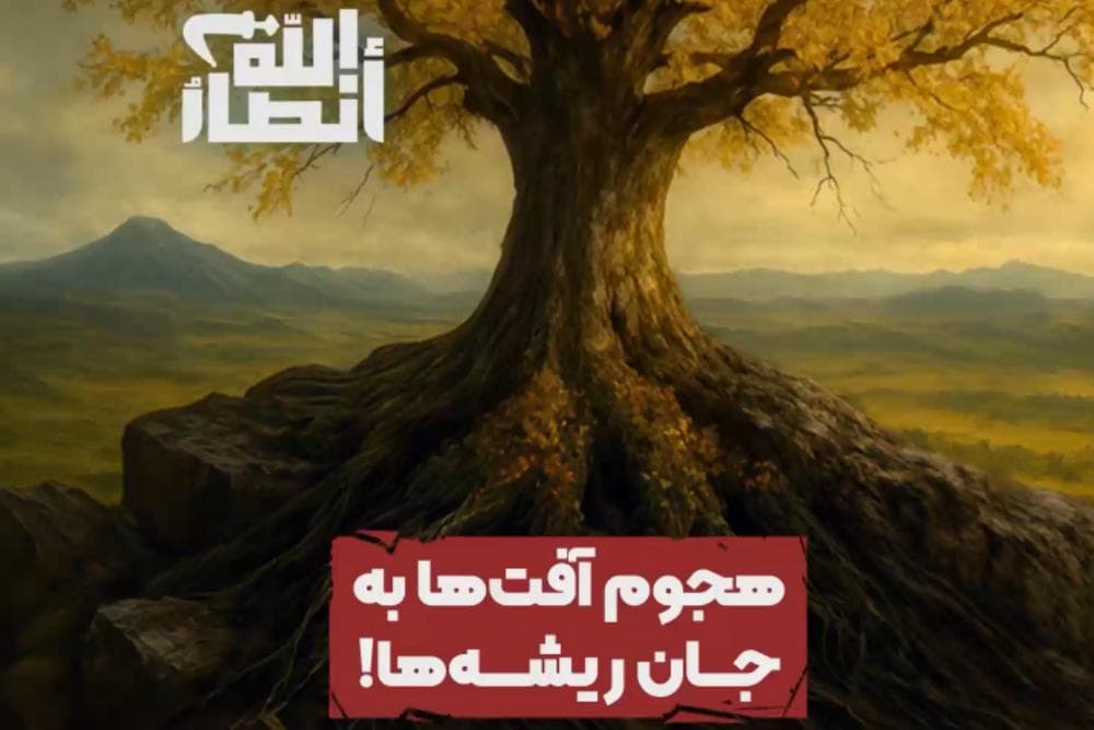 هجوم افت‌ها به جان ریشه‌ها | قسمت دوم