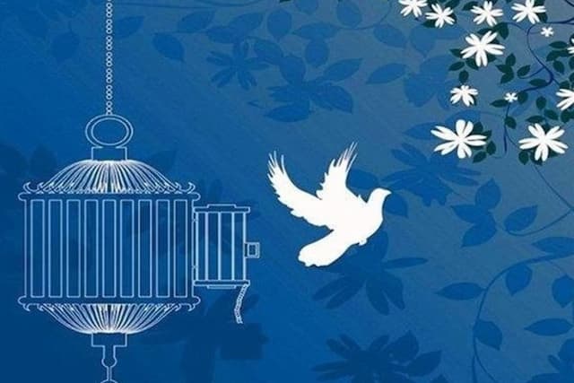 بازگشت به زندگی یک محکوم به قصاص در استان هرمزگان پس از 9 سال