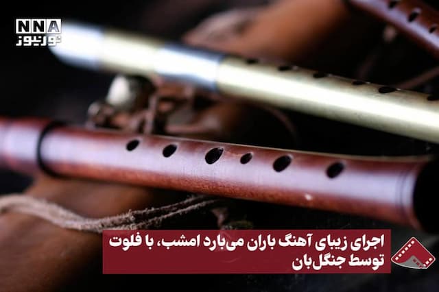 نورنما | اجرای زیبای آهنگ باران می‌بارد امشب، با فلوت توسط جنگلبان