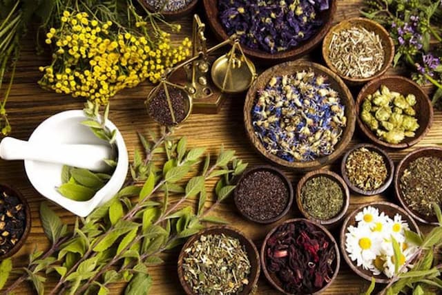 بهترین گیاهان دارویی برای کاهش طبیعی فشار خون