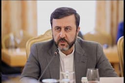 غریب‌آبادی: معاون گروسی پس از مذاکره، تهران را ترک کرد
