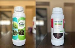 تولید کود بیولوژیک برای رشد گیاه در شرایط خشکسالی