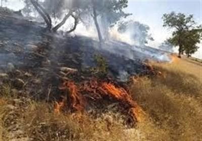 نبرد سخت 5 روزه برای اطفای حریق در مریوان/انجام 32 سورتی پرواز بالگرد