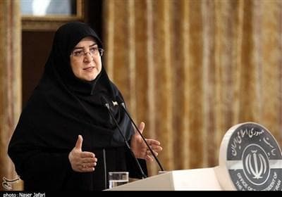 مهاجرانی: سرمایه‌گذاری در انرژی‌های نو را ادامه می‌دهیم