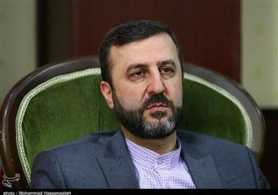 غریب آبادی: اگر اروپا روند اسنپ‌بک را آغاز کند تعامل با آژانس متوقف می‌شود