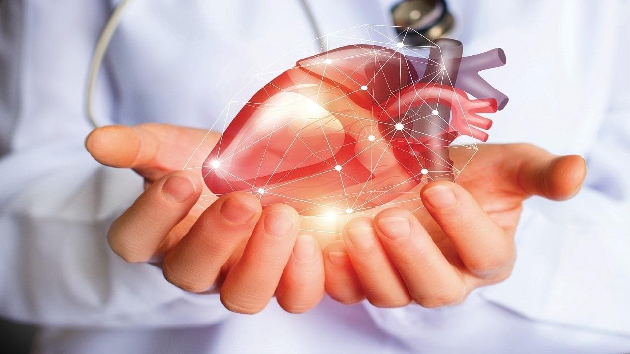 چربی خون و سلامت قلب: آنچه باید قبل از فاجعه بدانید