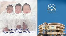تولد ۳ قلوهای دختر در سبزوار