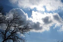 پیش‌بینی آسمان صاف و گرمای تابستانی در یزد