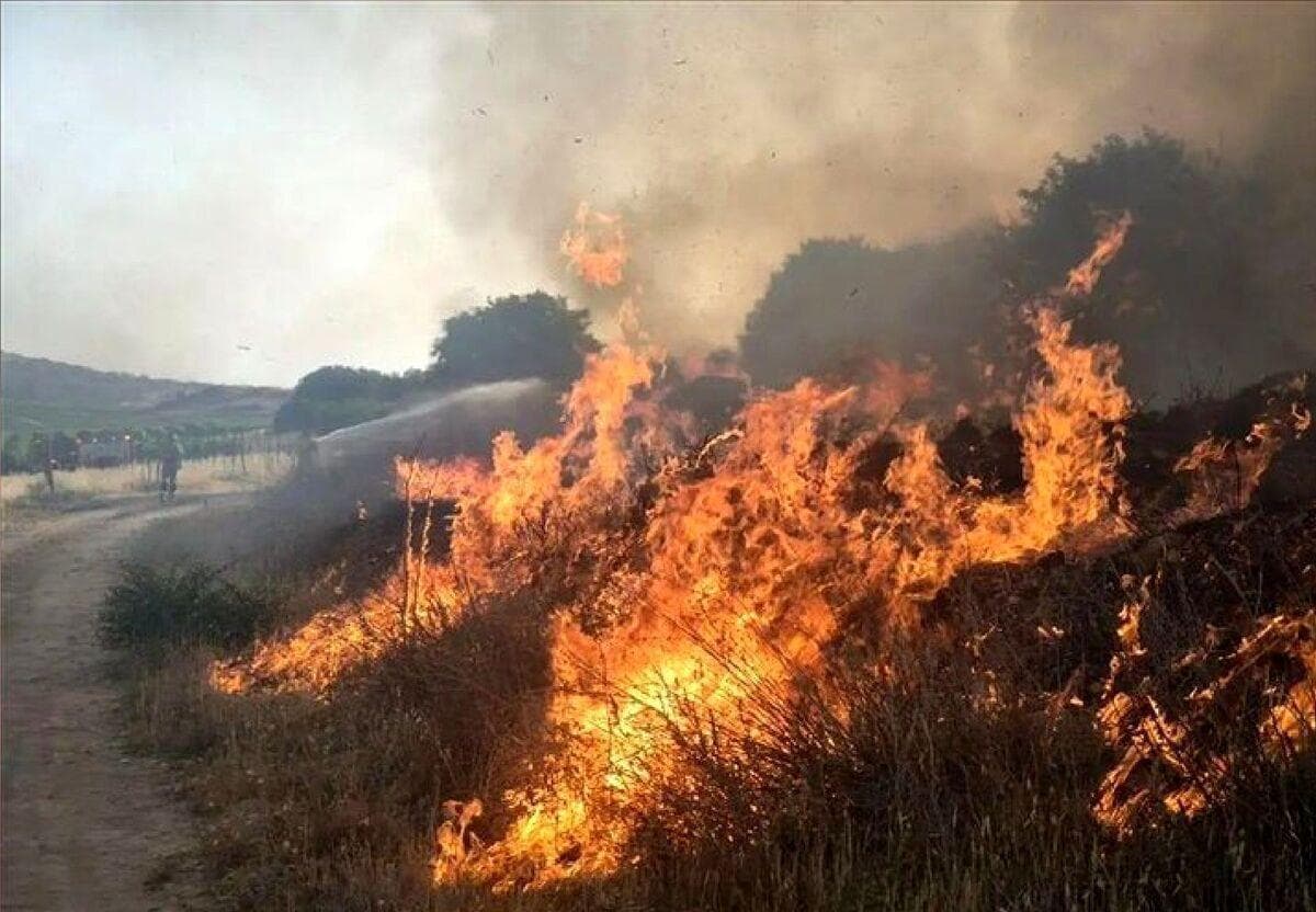 آتش سوزی گسترده در حاشیه پارک ملی تهران