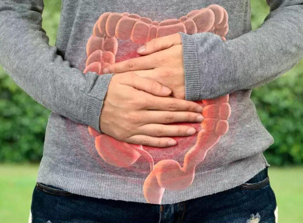 با این مواد غذایی به سلامت روده خود کمک کنید