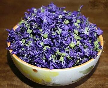 گلی با خاصیت ضدالتهابی برای درمان سرفه