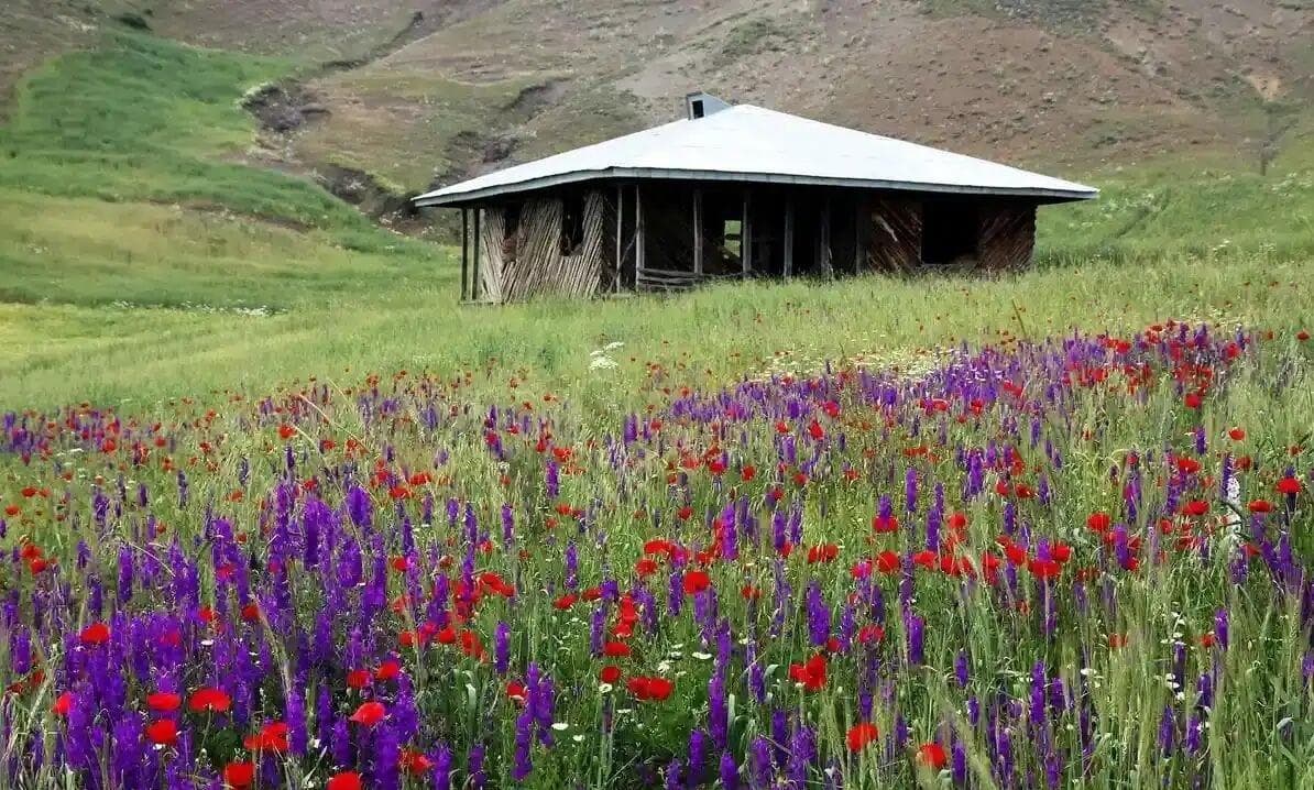 تقویت هوای گرم و روند افزایش دما در گیلان
