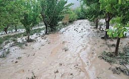 خسارت ۱۳۸ میلیارد تومانی سیل به کشاورزان خراسان‌شمالی