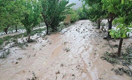 خسارت ۱۳۸ میلیارد تومانی سیل به کشاورزان خراسان‌شمالی