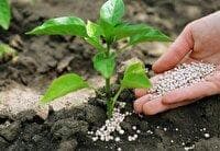 تامین، تدارک و توزیع بیش از ۴۵ هزار تن کود یارانه‌ای در استان همدان