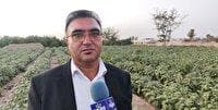 پرداخت وام بلاعوض به کشاورزان شهرستان خاتم