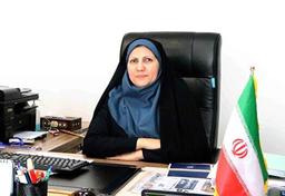 طرح ملی مهارت‌های اقتصاد دیجیتال وارد مرحله اجرایی شد