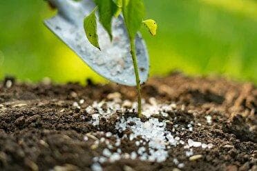 تخصیص هدفمند کود‌های کشاورزی بر اساس الگوی کشت