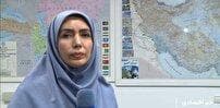 ناوگان حمل و نقل در خدمت زائران اربعین
